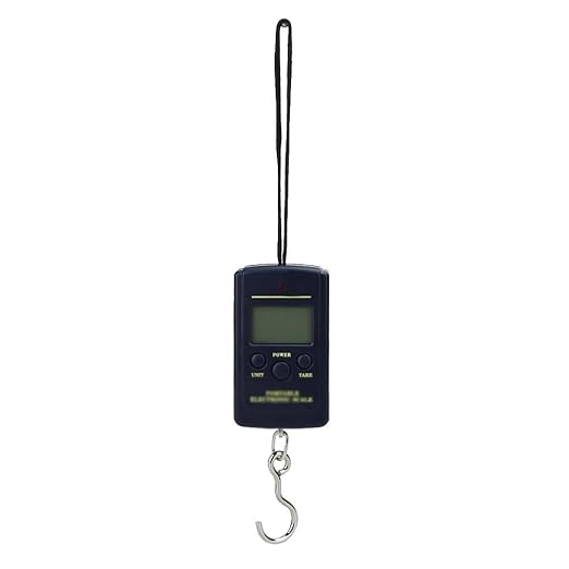 40kg x 10g Mini Digital Scale for Fishing Luggage Travel Weighting Steelyard Hanging Electronic Hook, Kitchen Weight Tool
