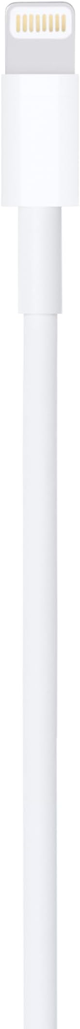 Apple Lightning to USB Cable (0.5 m)