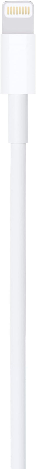 Apple Lightning to USB Cable (0.5 m)