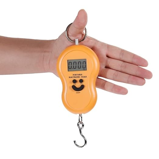50Kg Mini Digital Scale for Fishing Luggage Travel Weighting Kitchen Steelyard Hanging Electronic Hook