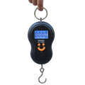 50Kg Mini Digital Scale for Fishing Luggage Travel Weighting Kitchen Steelyard Hanging Electronic Hook