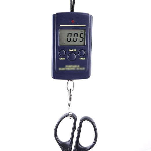 40kg x 10g Mini Digital Scale for Fishing Luggage Travel Weighting Steelyard Hanging Electronic Hook, Kitchen Weight Tool