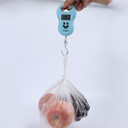 Pocket Portable 50kg/10g LCD Digital Scale Electronic Hand Held Hook Belt Luggage Hanging Scale Backlight Balance Weigting (1pcs Random Color)