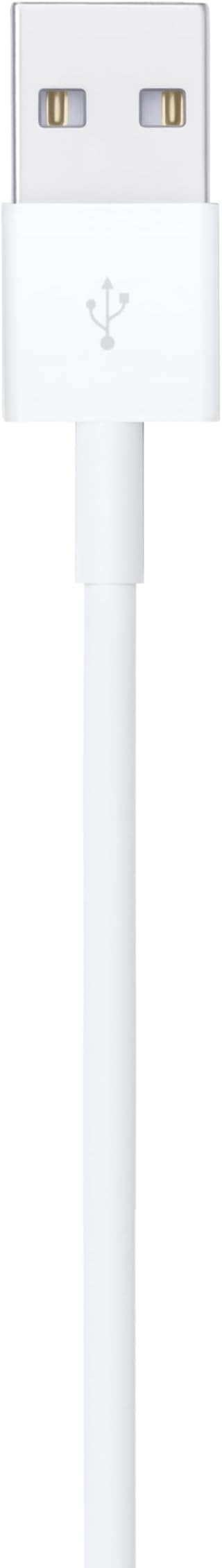 Apple Lightning to USB Cable (0.5 m)