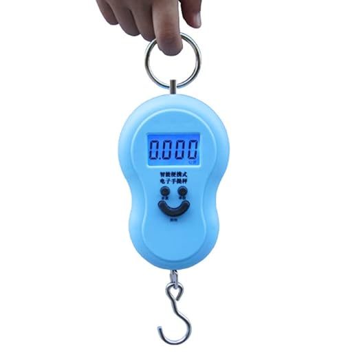 50Kg Mini Digital Scale for Fishing Luggage Travel Weighting Kitchen Steelyard Hanging Electronic Hook