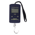 40kg x 10g Mini Digital Scale for Fishing Luggage Travel Weighting Steelyard Hanging Electronic Hook, Kitchen Weight Tool