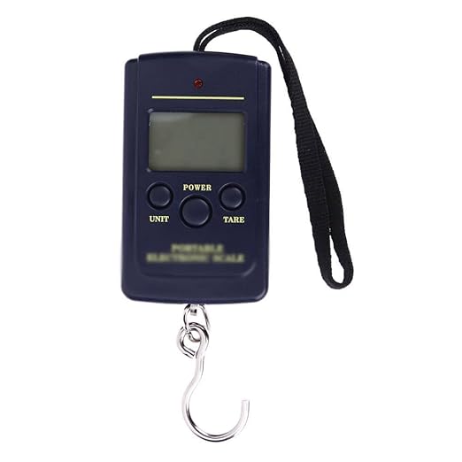 40kg x 10g Mini Digital Scale for Fishing Luggage Travel Weighting Steelyard Hanging Electronic Hook, Kitchen Weight Tool