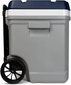 Igloo Maxcold Latitude Cooler | Insulated Hard Shell Ice Chest