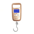 50KG Digital Hanging Scale Precision Portable Electronic Pocket Luggage Weighing Steelyard Weiheng