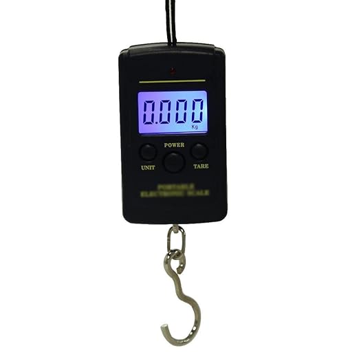 40kg x 10g Mini Digital Scale for Fishing Luggage Travel Weighting Steelyard Hanging Electronic Hook, Kitchen Weight Tool