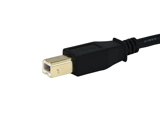 Monoprice 10ft Gold Plated 28/24AWG USB 2.0 A Male to B Male Cable (Pack of 2)