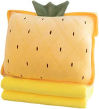 Fruit Throw Blanket and Pillow Set, Travel Blanket Compact Convenient Bed Throw Pillows with Airplane and Car Suitable for Office Nap Time (G, 67in x 59in)