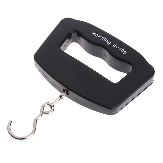 Portable Luggage Scale Digital Precise Fish Hook Hanging Scale Electronic Weight Scale for Travel Home 50kg/10g