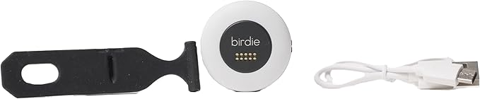 She's Birdie - The Original Personal Safety Alarm Disc for Bikes, Hikes, and Late Nights - Loud Siren, LED Light for Extra Visibility, Rechargeable, Handsfree, Lightweight, Water Resistant (Charcoal)