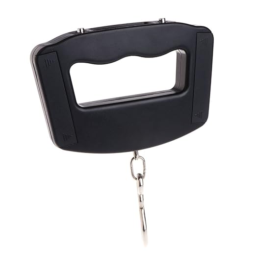 Portable Luggage Scale Digital Precise Fish Hook Hanging Scale Electronic Weight Scale for Travel Home 50kg/10g