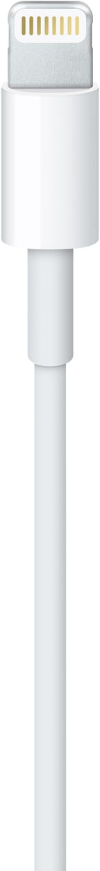 Apple Lightning to USB Cable (1 m)