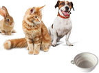 SiliconeSnap 5" Diameter Easy Collapsible Travel Pet Bowl Dog Food Dish with Easy Hook Hole, Snow White Washable Feeder for Dogs
