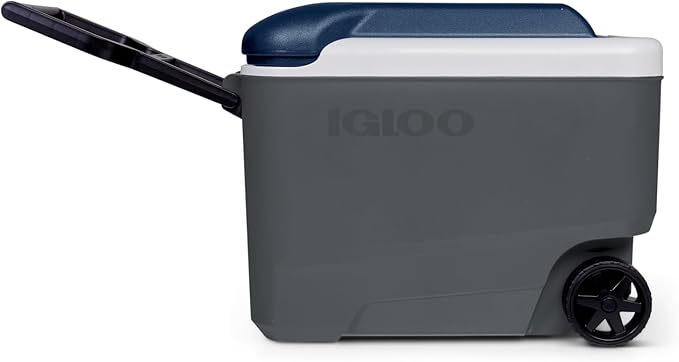 Igloo Maxcold Latitude Cooler | Insulated Hard Shell Ice Chest