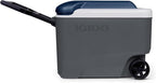 Igloo Maxcold Latitude Cooler | Insulated Hard Shell Ice Chest
