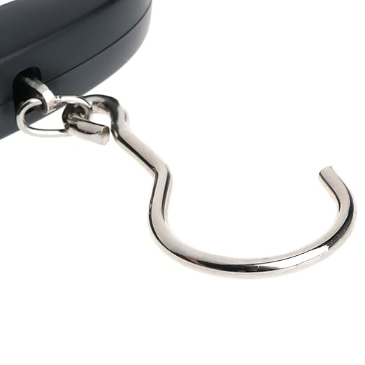 Portable Luggage Scale Digital Precise Fish Hook Hanging Scale Electronic Weight Scale for Travel Home 50kg/10g