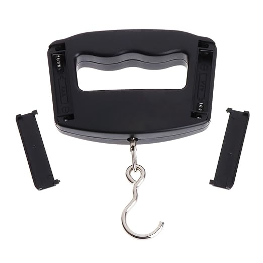 Portable Luggage Scale Digital Precise Fish Hook Hanging Scale Electronic Weight Scale for Travel Home 50kg/10g