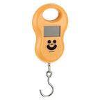 Pocket Portable 50kg/10g LCD Digital Scale Electronic Hand Held Hook Belt Luggage Hanging Scale Backlight Balance Weigting Random Color