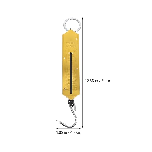 ABOOFAN 2pcs Portable Mechanical Hanging Scale 50kg High Accuracy Vertical Spring Hook Scale with Tray Handheld Food and Luggage Weighing Tool for Outdoor and Produce
