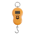 50Kg Mini Digital Scale for Fishing Luggage Travel Weighting Kitchen Steelyard Hanging Electronic Hook