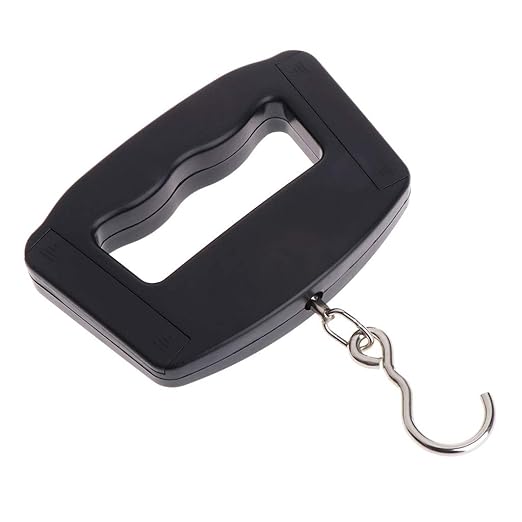 Portable Luggage Scale Digital Precise Fish Hook Hanging Scale Electronic Weight Scale for Travel Home 50kg/10g