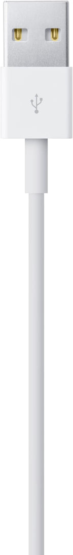 Apple Lightning to USB Cable (1 m)