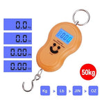 50Kg Mini Digital Scale for Fishing Luggage Travel Weighting Kitchen Steelyard Hanging Electronic Hook