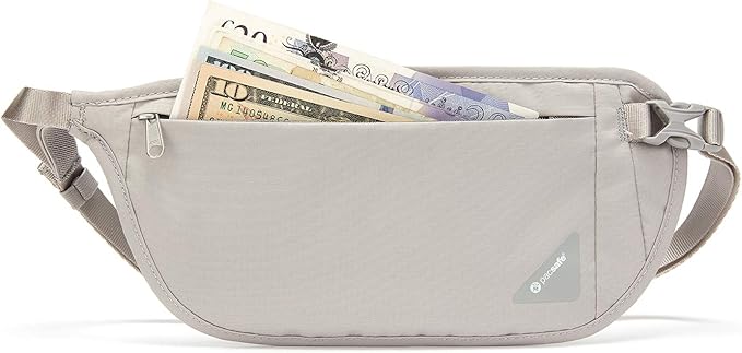 Pacsafe Coversafe V100 Anti-Theft RFID Blocking Waist Wallet, Neutral Grey