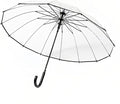 Chesoon Clear Umbrella Wedding Large Rain Bubble Umbrella 14 Ribs POE Surface Automatic Open