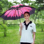 LANBRELLA Umbrella Windproof Compact Travel Umbrella Auto Open Close for Rain