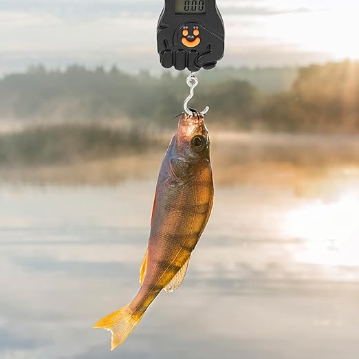 Beaupretty Portable Digital Luggage Scale Handheld Mini 50kg Travel Suitcase Weight Scale with Rechargeable Battery for Fishing and Saltwater Fishing Gear