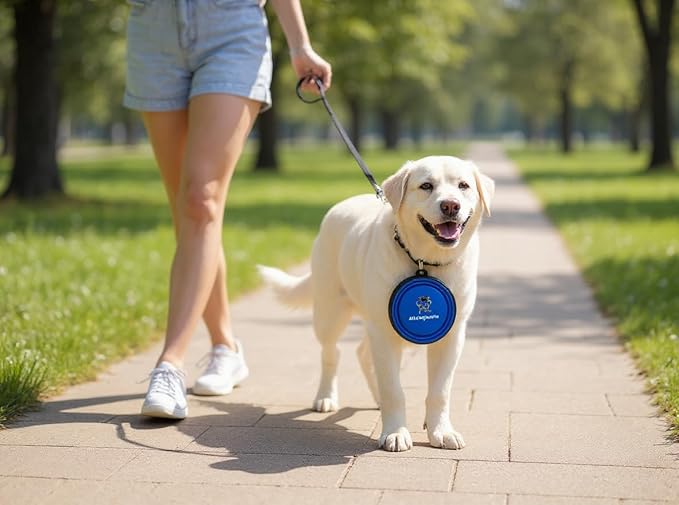 Silicone Collapsible Pet Bowl for Travel - Portable, Leak-Proof Dog & Cat Bowl, Easy Clean Collapsible Pet Dish for Hiking, Camping, Car Rides (Blue, 33.8oz)