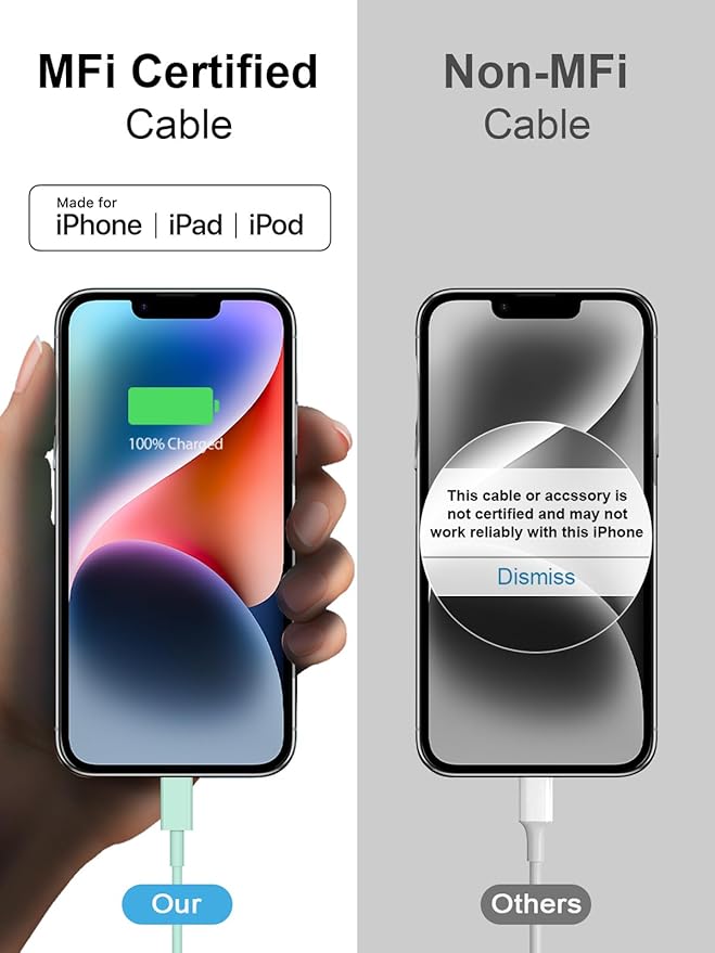 10FT iPhone 14 13 12 Charger Fast Charging 20W PD USB C Wall Charger with 10FT Fast Charging Cable Compatible iPhone 14/13/12/11/Pro/Pro Max/Mini/Xs Max/XR/X, iPad - Green
