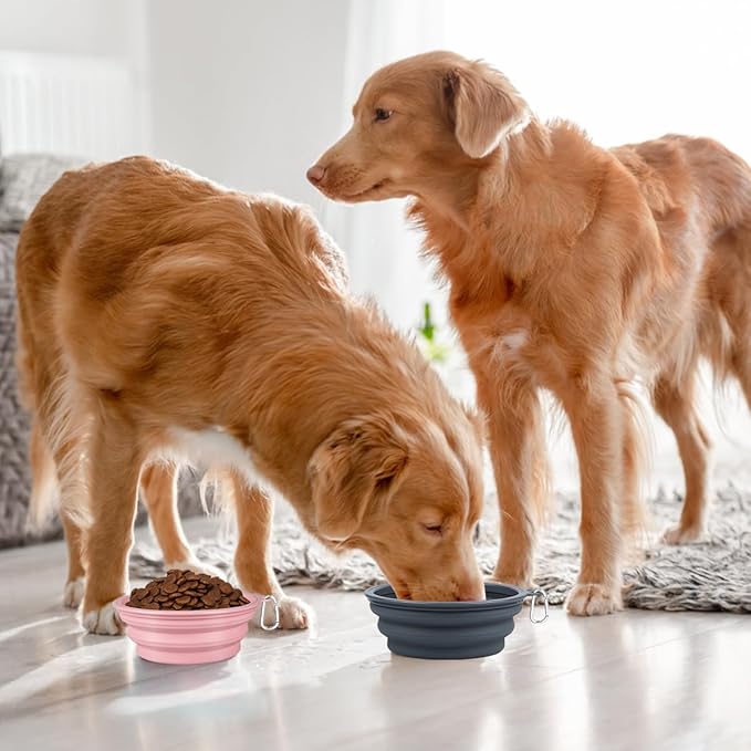 Kytely Collapsible Dog Bowls X-Large (1500ml), 2 Pack Foldable Travel Bowls, Portable Dog Water Food Bowl with Clasp, Pet Feeding Cup Dish for Traveling, Walking, Hiking (Pink+Grey)