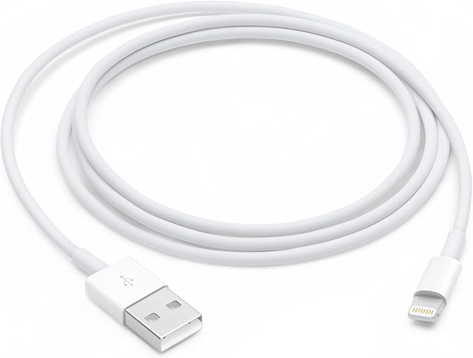 Apple Lightning to USB Cable (1 m)