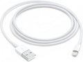 Apple Lightning to USB Cable (1 m)