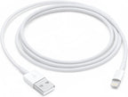 Apple Lightning to USB Cable (1 m)