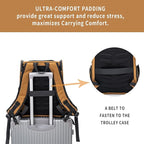 Cat Backpack Carrier for Small Dogs and Medium cat Puppy Kitten Bunny Pet Carrier Backpack Collapsible with Fully Ventilated Mesh with Safety Leash (Brown, 12.9" L x 10.62" W x 15.5" H - M)