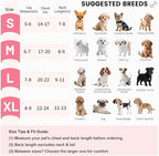 Pet Front Carrier for Small Dogs & Cats, Breathable Legs-Out Riding Carrier for Cycling, Walking & Outdoor Travel, Adjustable Hands-Free Pet Carrier Backpack, Pink