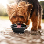 Kytely Large Collapsible Dog Bowls 2 Pack, 34oz Foldable Dog Travel Bowl, Portable Pet Water Food Bowl with Clasp, Pet Cat Feeding Cup Dish for Traveling, Walking, Hiking (Black+Black)