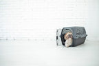 Petmate Pet Porter Dog Kennel 24", Dark Gray & Black, for Pets 15-20lbs