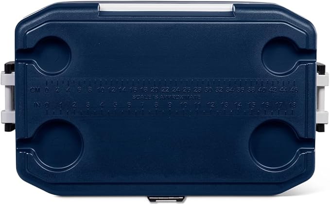 Igloo Maxcold Latitude Cooler | Insulated Hard Shell Ice Chest
