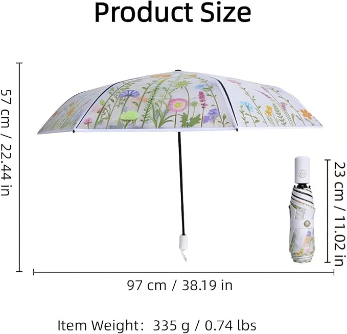 Chesoon Clear Folding Umbrella with Windproof Surface Automatic Opened Compact Design 8 Fiberglass Ribs for Girls/Women