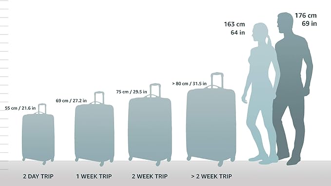 Samsonite Winfield 2 Hardside Expandable Luggage with Spinner Wheels, Purple, Checked-Large 28-Inch