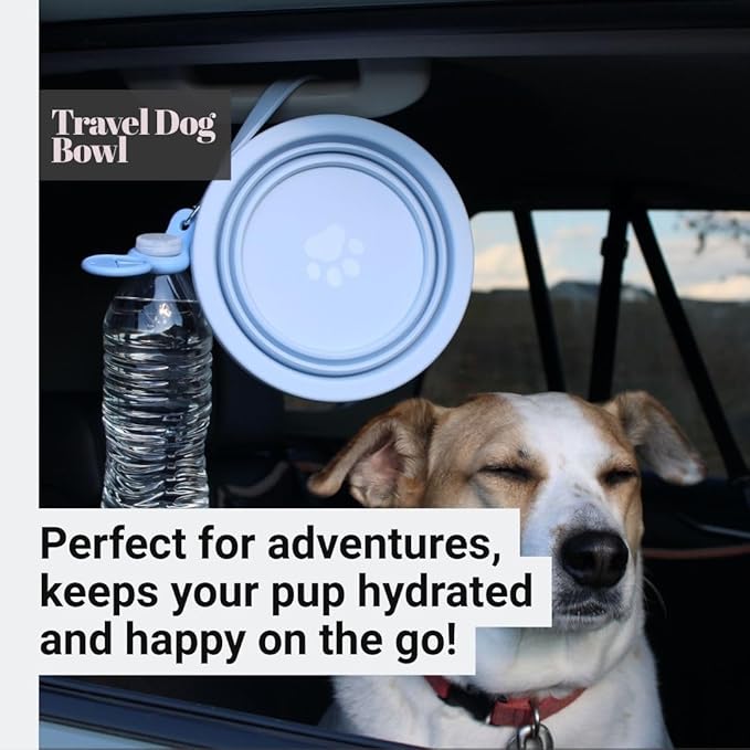 2-in-1 Travel Dog & Cat Bowl – Collapsible BPA-Free Silicone & 18/8 Stainless Steel, Portable & Non-Slip with Handle, Easy to Clean, Food & Water Bowl for On-the-Go Pets, Bottle/PoopBag Holder