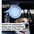 Blue Slow Feeder Travel Dog Bowl Set | 30oz Stainless Steel + 20oz Collapsible Silicone Dish | Water Bottle Holder| Non-Slip, Anti-Choking, BPA-Free | We Give Back